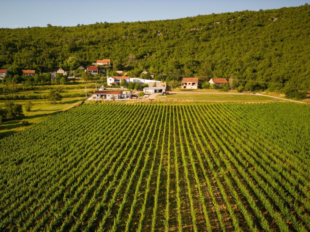 Krolo Villa&Wine Trilj Exterior photo